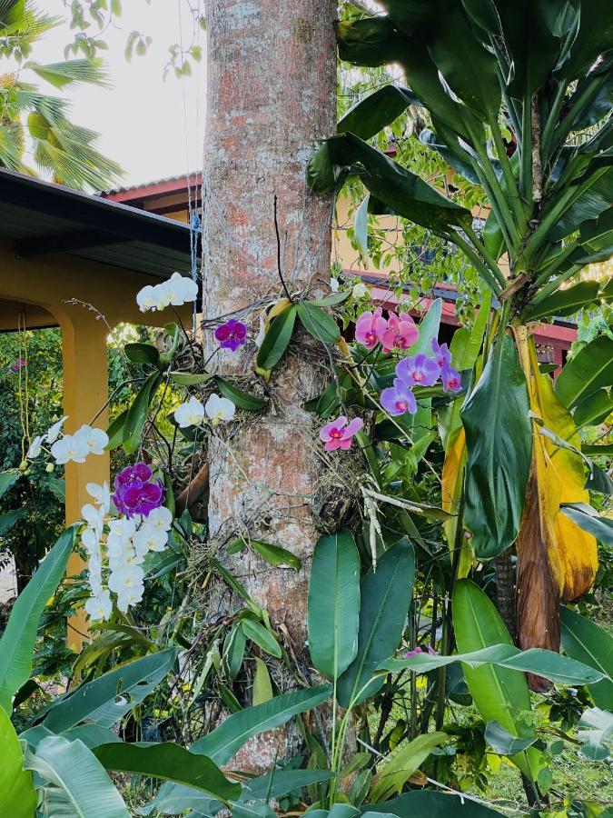 A Piece Of Paradise San Carlos Exterior photo